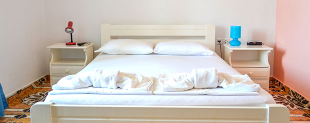 Athena-Pallace Susnet